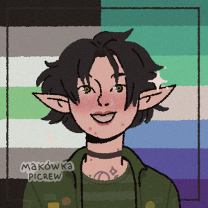 Void's profile picture. A drawing of a half elf with short black hair. The agender and gay man pride flags are in the background.